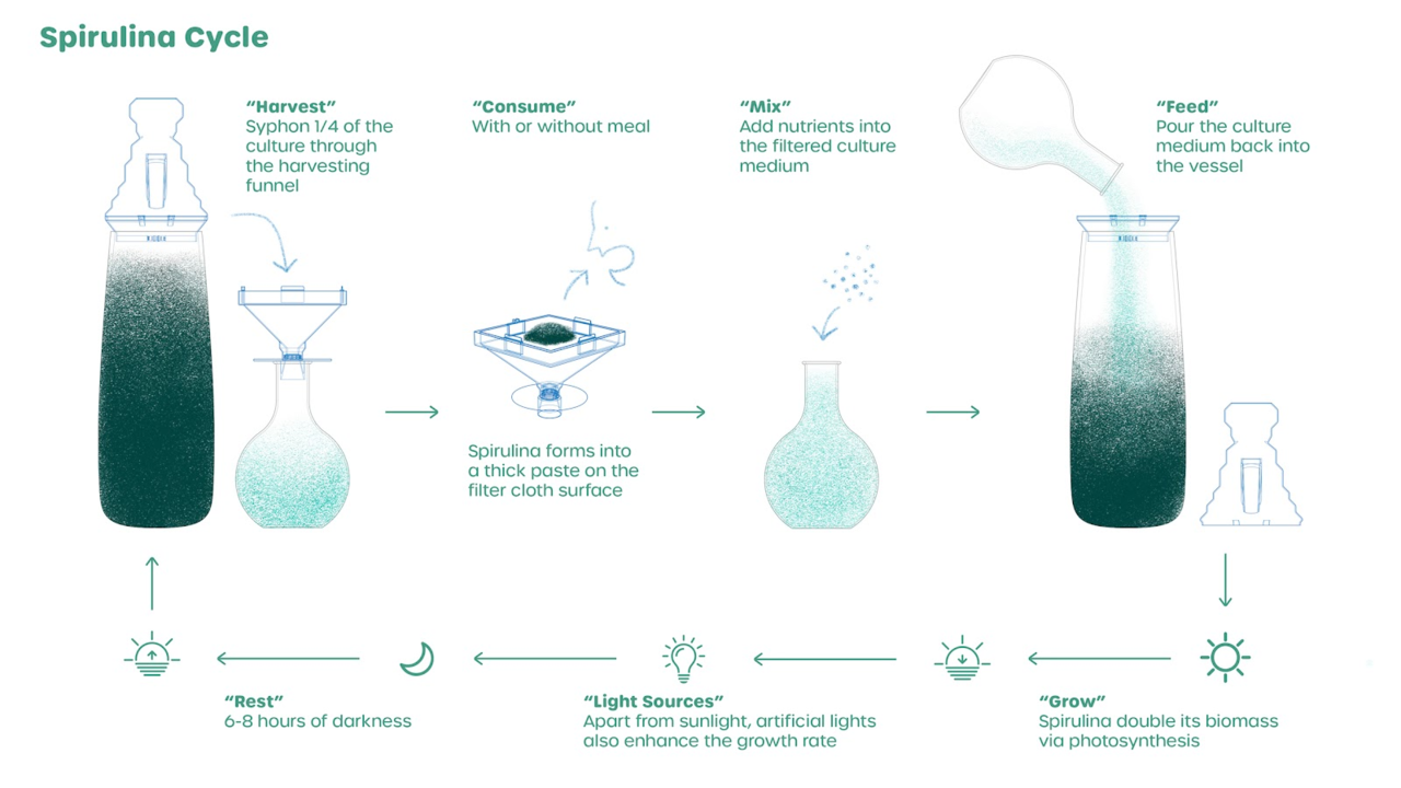 A nice infographic about the spirulina farming process