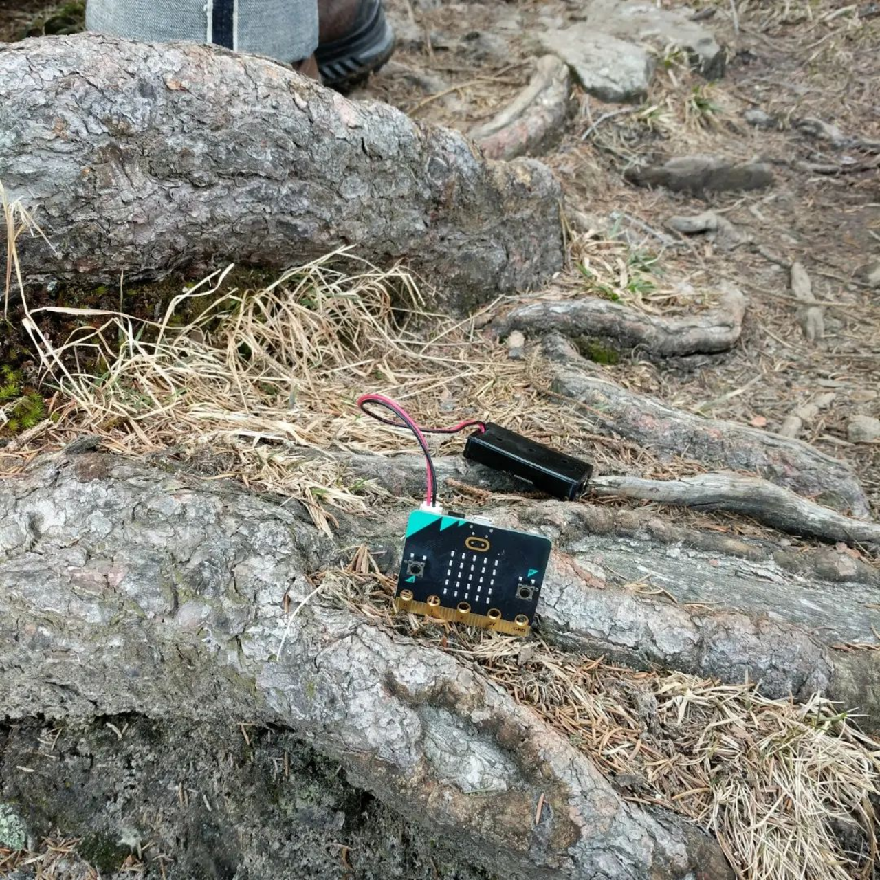 a micro:bit in the wild