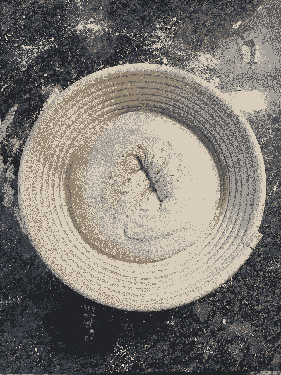 assets/how-to/sourdough/sourdough-002.png