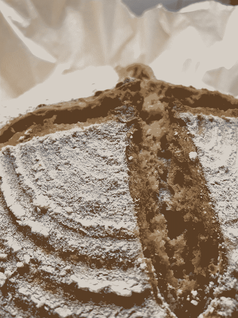 assets/how-to/sourdough/sourdough-005.png